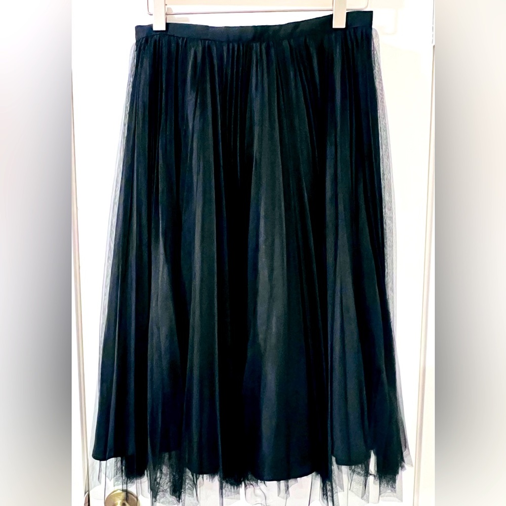 Adrianna Papell Long Tulle Skirt